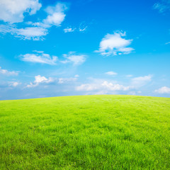 green field and blue sky