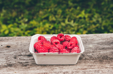 Maliny © Filip Olejowski