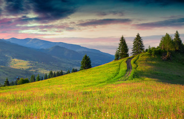 Colorful summer sunset in the Carpathian mountains