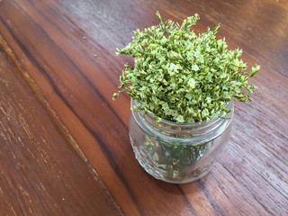 Green flower in glass jar on wooden background