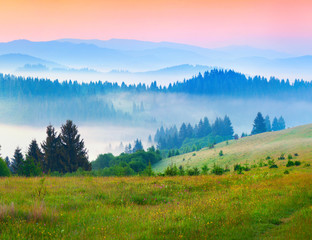Sunny summer morning in the foggy Carpathian mountains.