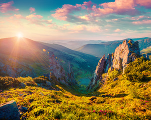 Colorful summer sunrise in the Carpathian mountains