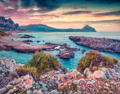 รูปภาพCofano – เลือกดูภาพถ่ายสต็อก เวกเตอร์ และวิดีโอ1,506 | Adobe Stock