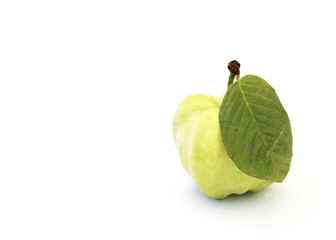 Single fresh guava fruits Isoalted on white background
