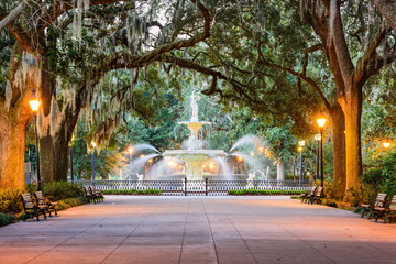 Fototapeta premium Forsyth Park