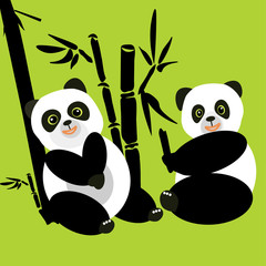 Two pandas sit in the woods and eat bamboo