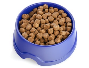 Dog Bowl, Dog Food, Pet Food.