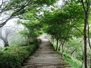 Obraz premium Górska ścieżka