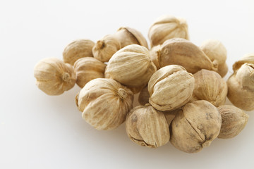 カルダモン　Cardamom