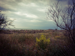 Verträumte Landschaft am Meer