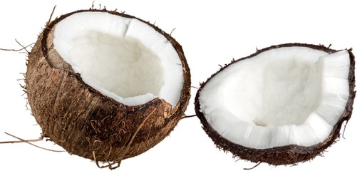 Coconut, Tropical Fruit, Open.