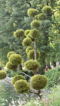 arbres...jardin public