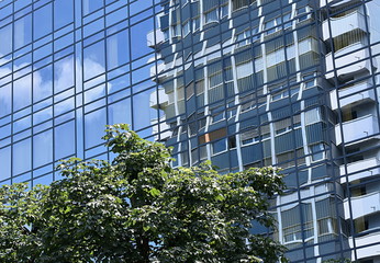 Fototapeta na wymiar moirure sur un immeuble en verre
