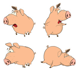Set of cheerful pigs Cartoon 