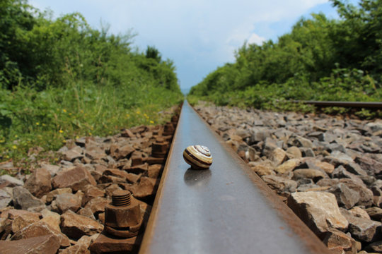 Slug shell on railways