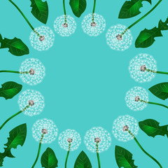 Floral design. Dandelion