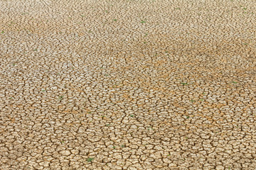 Cracked earth background