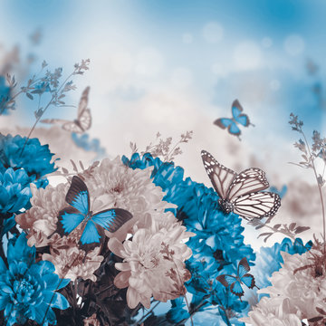 Fototapeta Fototapeta Chryzantemy i motyle w odwróconych kolorach na zamówienie