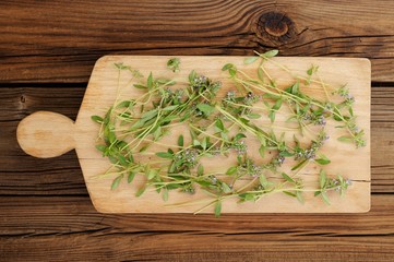 Wild thyme stalks on small wooden board