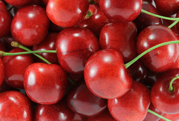 Cherry (sweet cherry - red)
