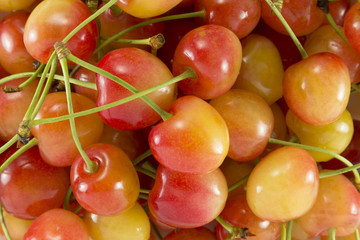 Cherry (sweet cherry - red-yellow)