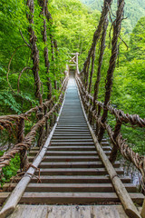 徳島県　奥祖谷二重かずら橋　男橋