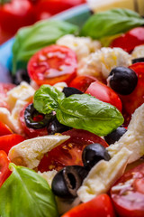 Caprese. Caprese salad. Italian salad. Mediterranean salad. Italian cuisine. 