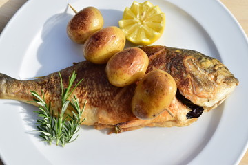 Gebratene Dorade