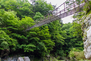 徳島県　奥祖谷二重かずら橋　男橋