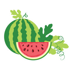 watermelon on white background.