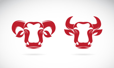 Vector image of an bull head on a white background