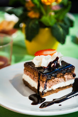 biscuit cake drizzled with chocolate