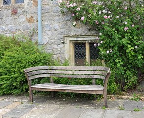 Bench seat in an english garden in early Spring