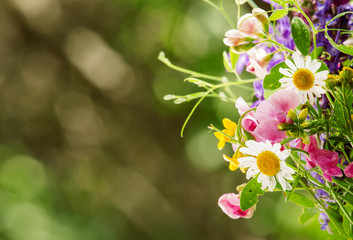 Bouquet of herbs and wild flowers, natural green background, sel