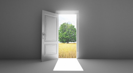 Porta aperta su giardino e albero