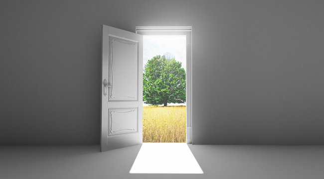 Porta aperta su giardino e albero