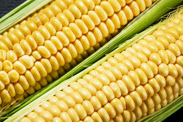 Fresh juicy organic corn, close up, selective focus