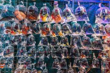 Zelfklevend Fotobehang Hong-Kong goudvismarkt Mong Kok Kowloon Hong Kong