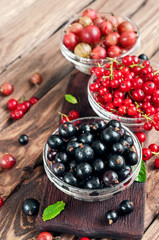 various seasonal berries