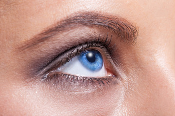 Fototapeta na wymiar Close up of a blue woman eye