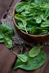 Close-up of fresh spinach in a wooden bowl, studio shot