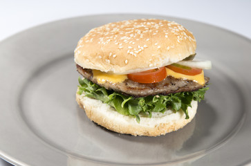 Hamburger on Plate