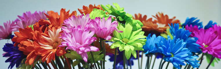 An Arrangement of Colorful Gerbera Daisy Flowers