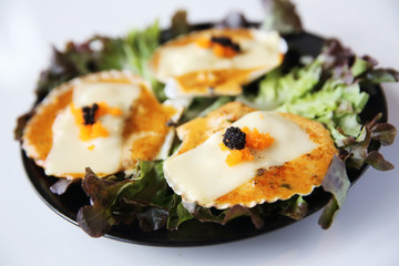 freshness scallop on white background