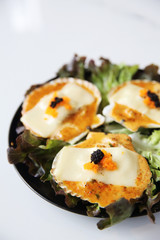 freshness scallop on white background