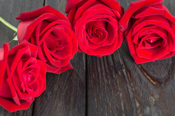 red rose on wood background