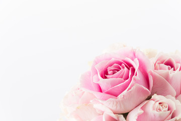 white and pink rose bouquet on white background