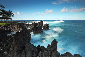 Fototapeta na wymiar Ocean waves crash on the lava rocky coast at Laupāhoehoe Point
