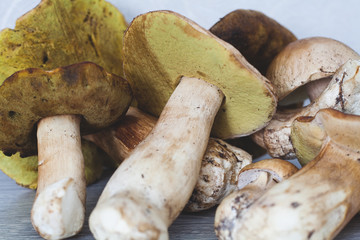Cut white mushrooms closeup