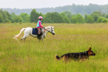 A little girl walks on a horse is a German Shepherd close  Outdoors